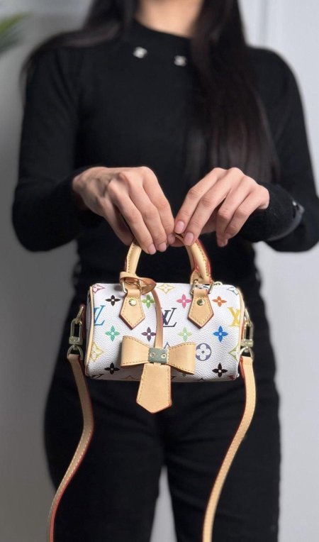 شنتة - Louis Vuitton Speedy / شامل علبة الشركة