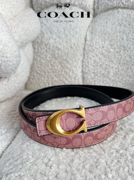 قشاط ستاتي - Coach